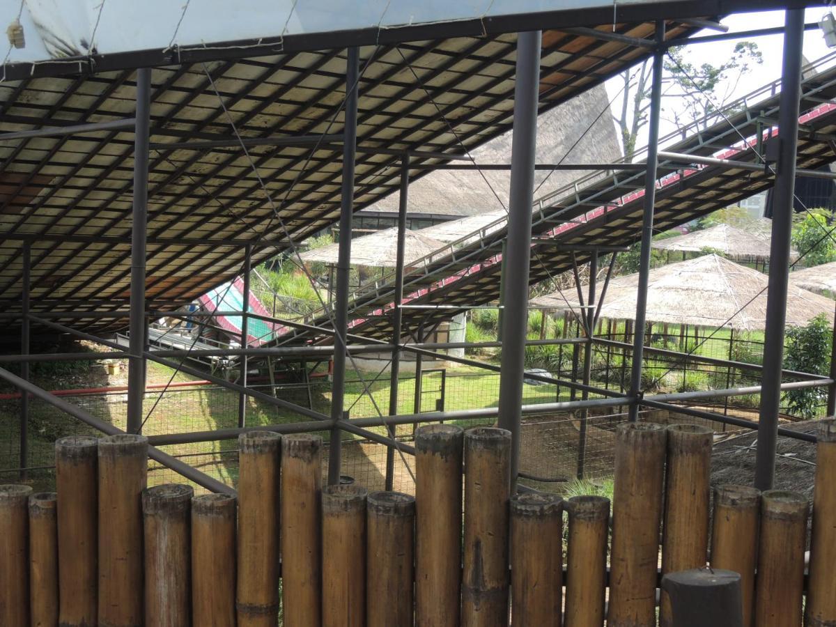 Semilir Glamping Hotel Semarang Kültér fotó